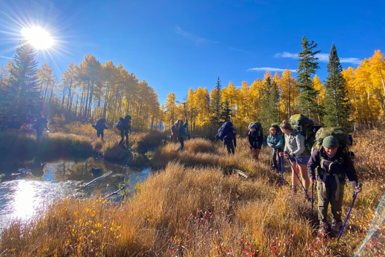 Gap Fall Traverse 2021 - Sawatch group backpacking aspens yellow leaves
