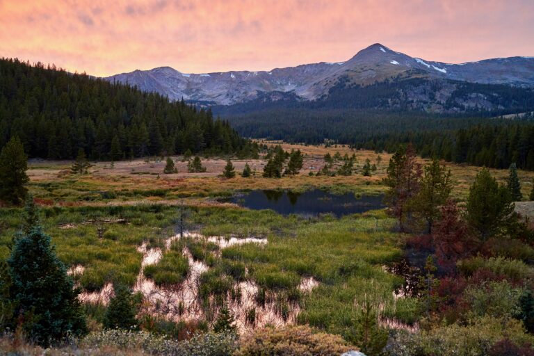 Gap_BestOfMarketing_Editefd00273