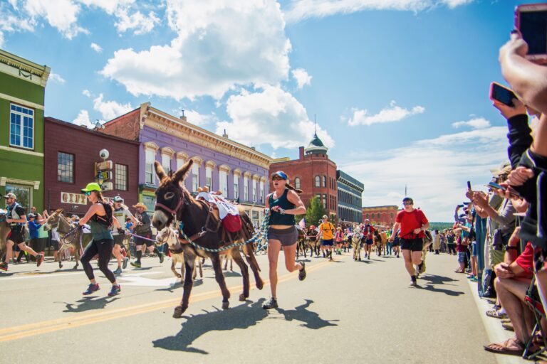 Leadville Boom Days Burro Race by Diana Lange