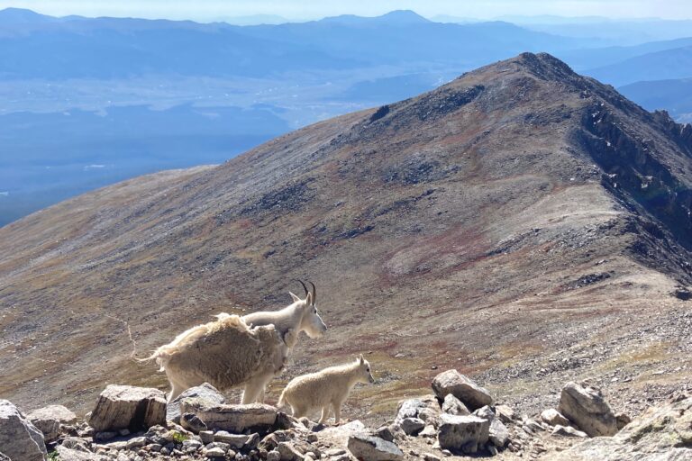 SEM 53-Maddie's Group-1st Expedition-Sawatch-Scenic